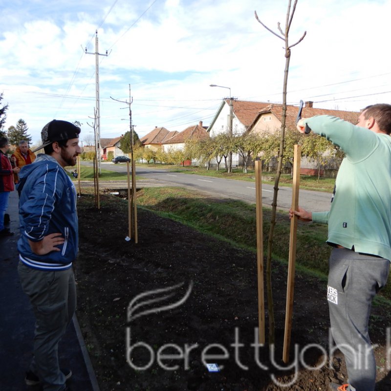 Közösségi faültetés Berettyóújfaluban 68